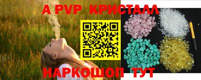 мет Кингисепп