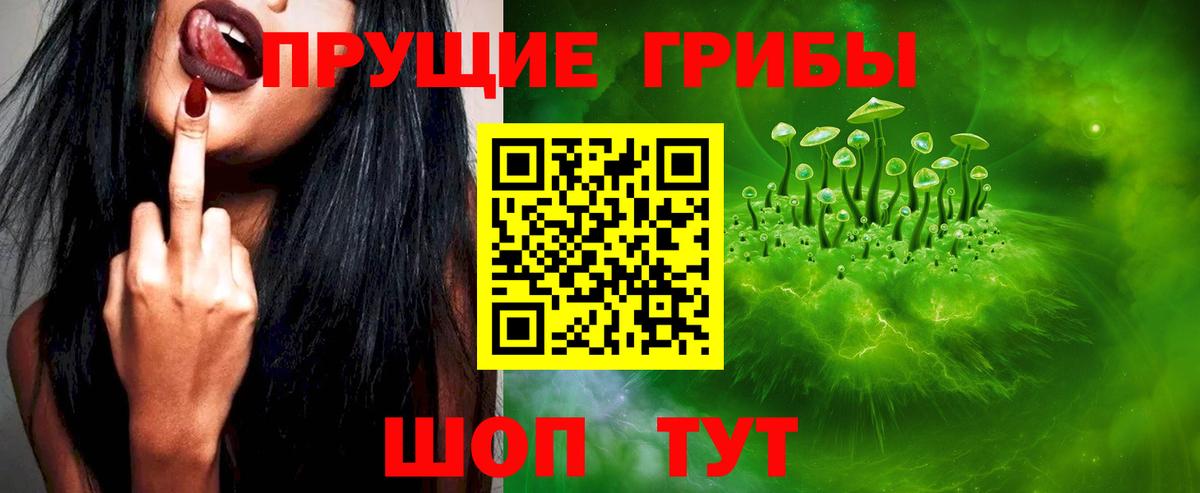 Лангепас  сколько стоит  Вход с VPN  Псилоцибиновые грибы GOLDEN TEACHER 